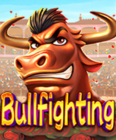 Bullfighting