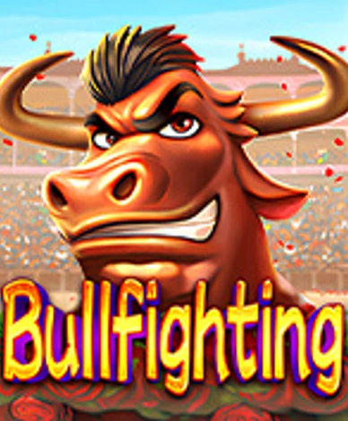 Bullfighting