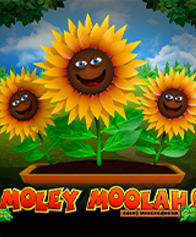 Moley Moolah Going Underground