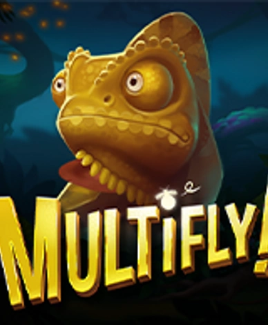 MultiFly