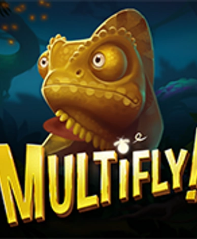 MultiFly