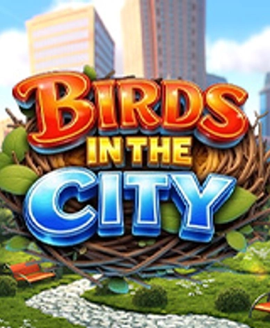 Birds In The City