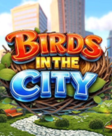 Birds In The City