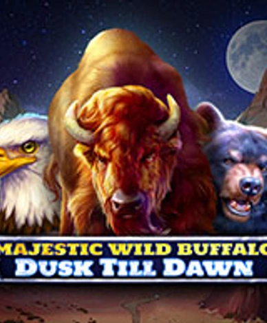 Majestic Wild Buffalo - Dusk Till Dawn