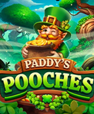 Paddys Pooches