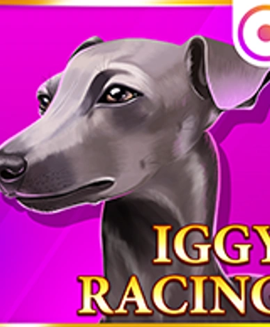 Iggy Racing