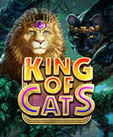 King Of Cat