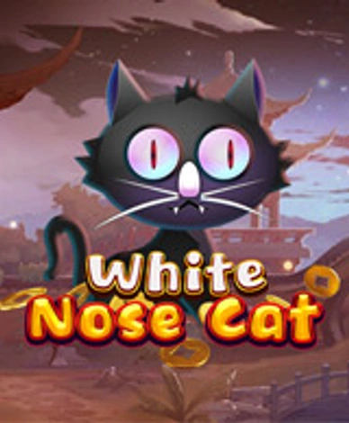 White Nose Cat