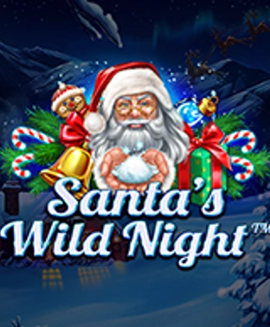 Santa’s Wild Night