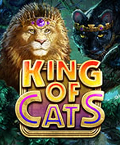 King Of Cat