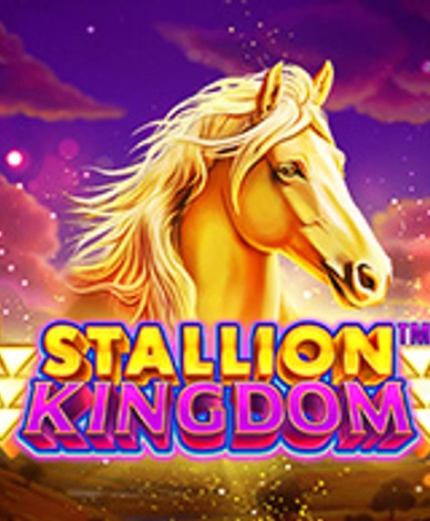 Stallion Kingdom