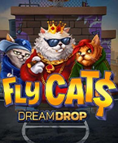 Fly Cat