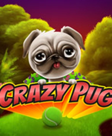 Crazy Pug