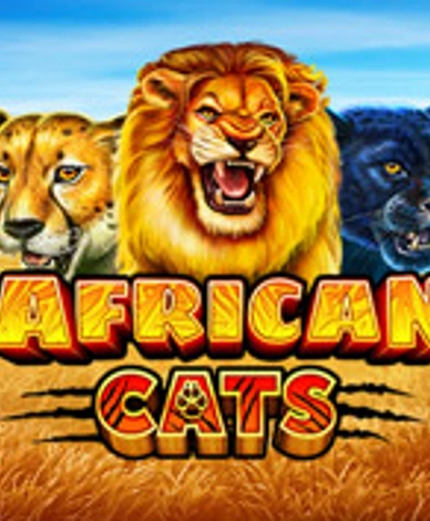 African Cats