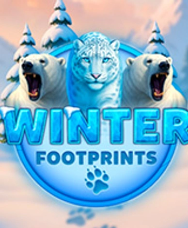 Winter Footprints