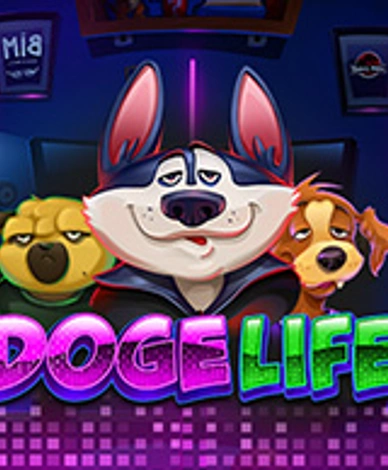 Doge Life