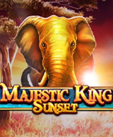 Majestic King - Sunset
