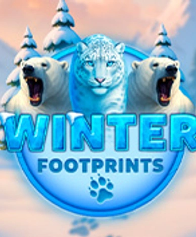 Winter Footprints