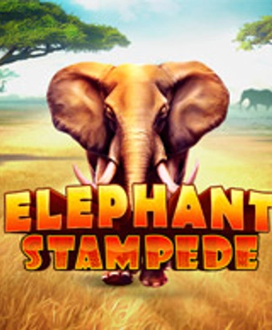 Elephant Stampede