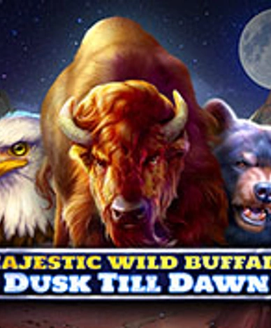 Majestic Wild Buffalo - Dusk Till Dawn