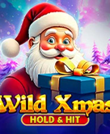 Wild Xmas - Hold And Hit