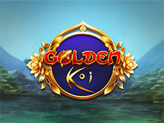 Golden Koi