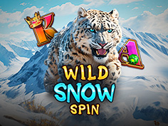 Wild Snow Spin