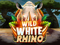 Wild White Rhino