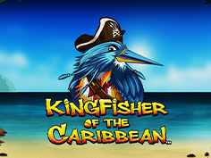 Kingfisher Of The Caribbean