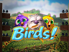 Birds