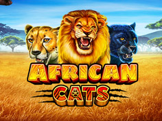 African Cats