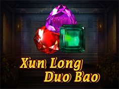 Xun Long Duo Bao