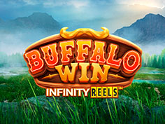  Buffalo Win