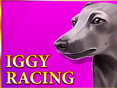 Iggy Racing