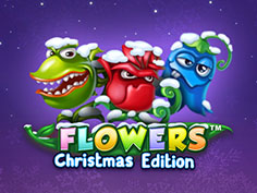 Flowers Christmas Edition
