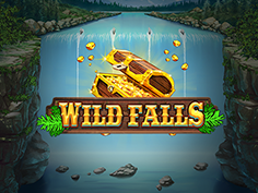 Wild Falls