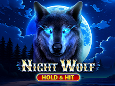 Night Wolf - Hold And Hit