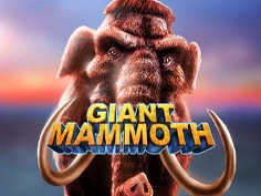 tournament-game-image