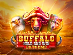 tournament-game-image