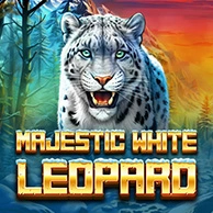 Majestic White Leopard