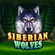 Siberian Wolves