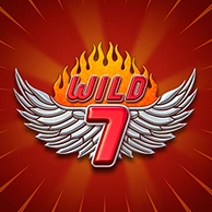Wild 7