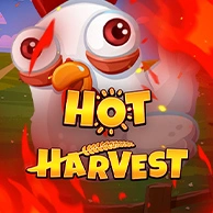 Hot Harvest