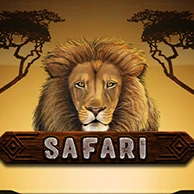 Safari