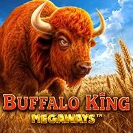 Buffalo King Megaways