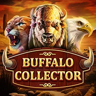 Buffalo Collector