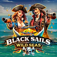 Black Sails Wild Seas