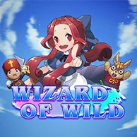 Wizard of Wild