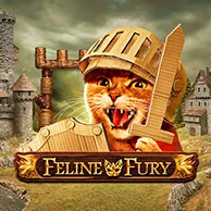Feline Fury