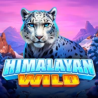 Himalayan Wild 